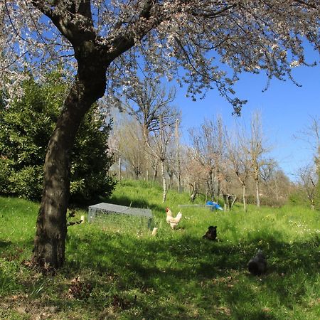 B&B Ride Appennino Montefiorino Esterno foto