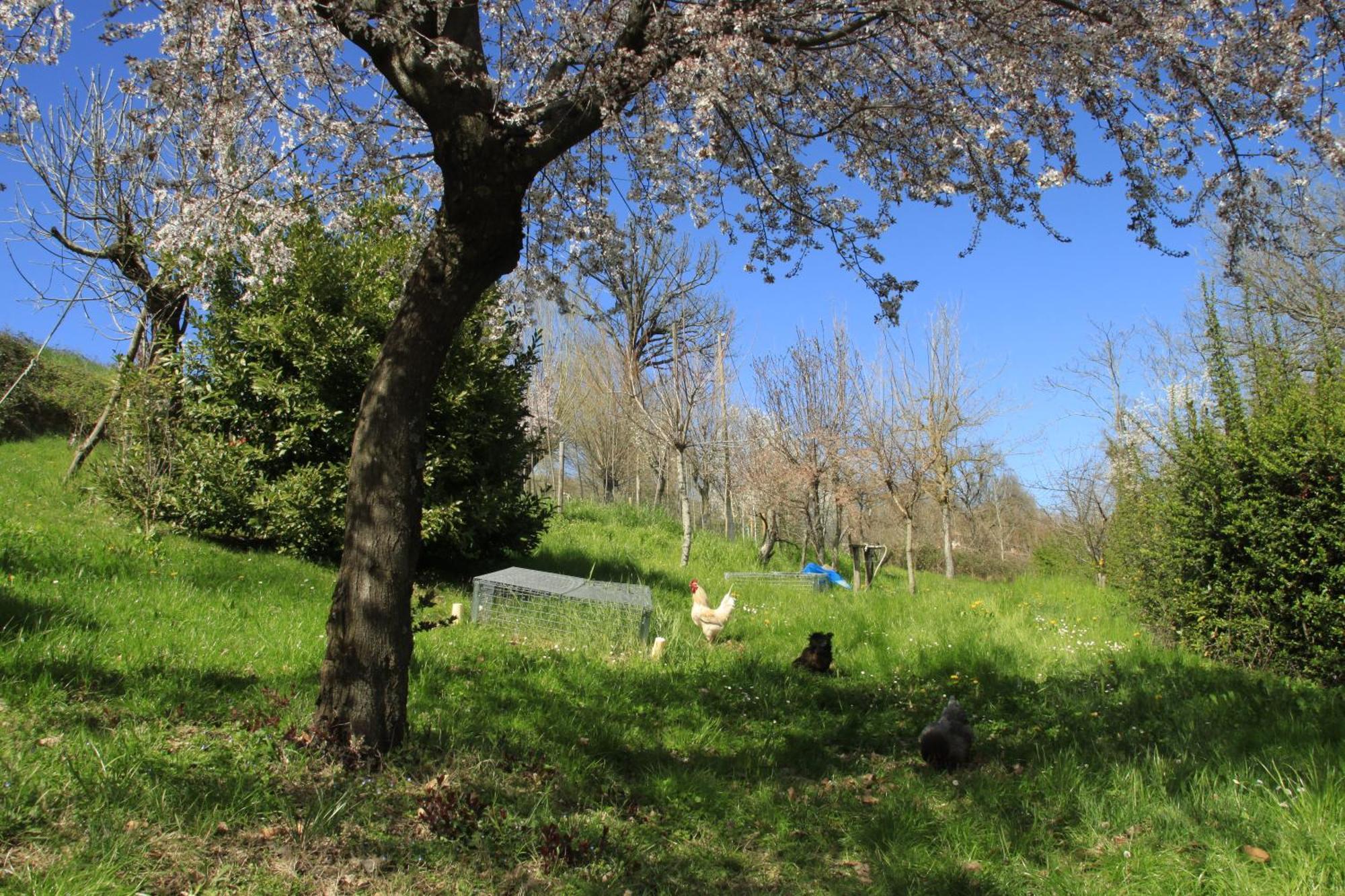 B&B Ride Appennino Montefiorino Esterno foto